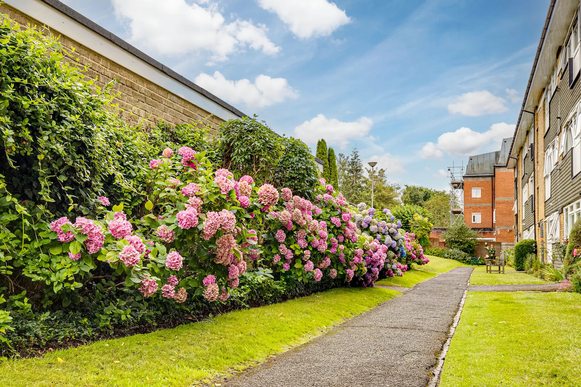 Photo of the outside of Le cheateu 2 Bedroom Flat with flowers and bright green grass